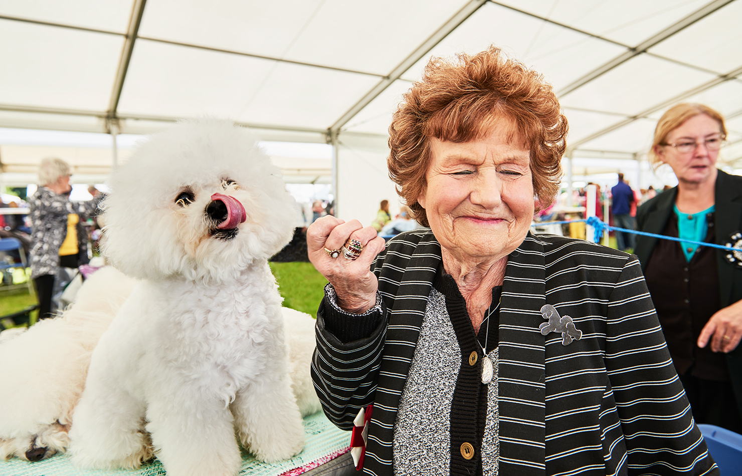 UK windsor dogshow documentary advertising photography