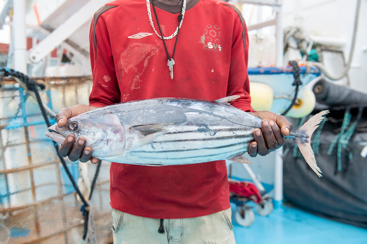 Seychelles sustainable fishing