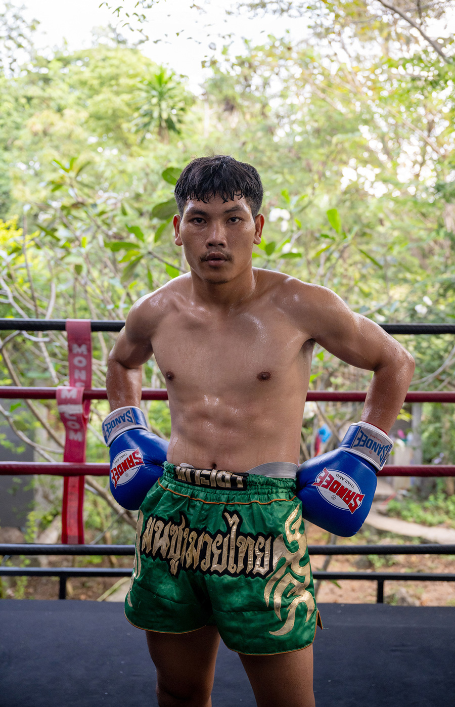 hannah_maule_ffinch_thailand_reportage_boxer-1