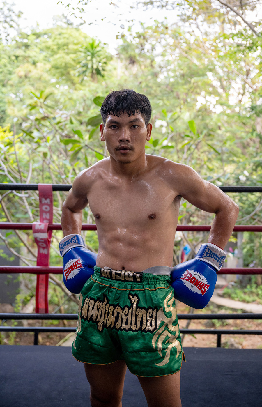 hannah_maule_ffinch_thailand_reportage_boxer-2-1